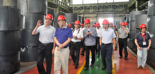 與會領導企業(yè)單位參觀考察遵化市重點企業(yè)